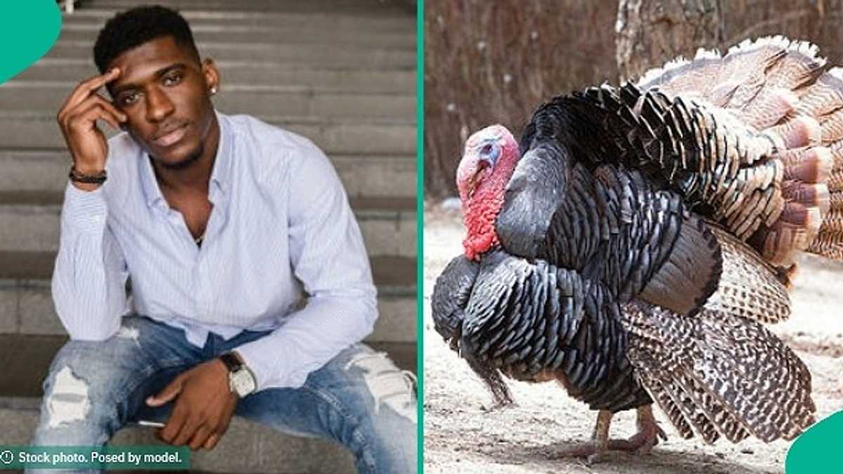 Christmas Celebration: Estate Resident's Turkey Suddenly Goes Missing, WhatsApp Message Leaks