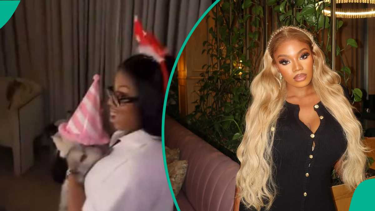 Ex-BBNaija Housemate Angel Throws Birthday Party For Cat, Fans React: “You Play Too Much"