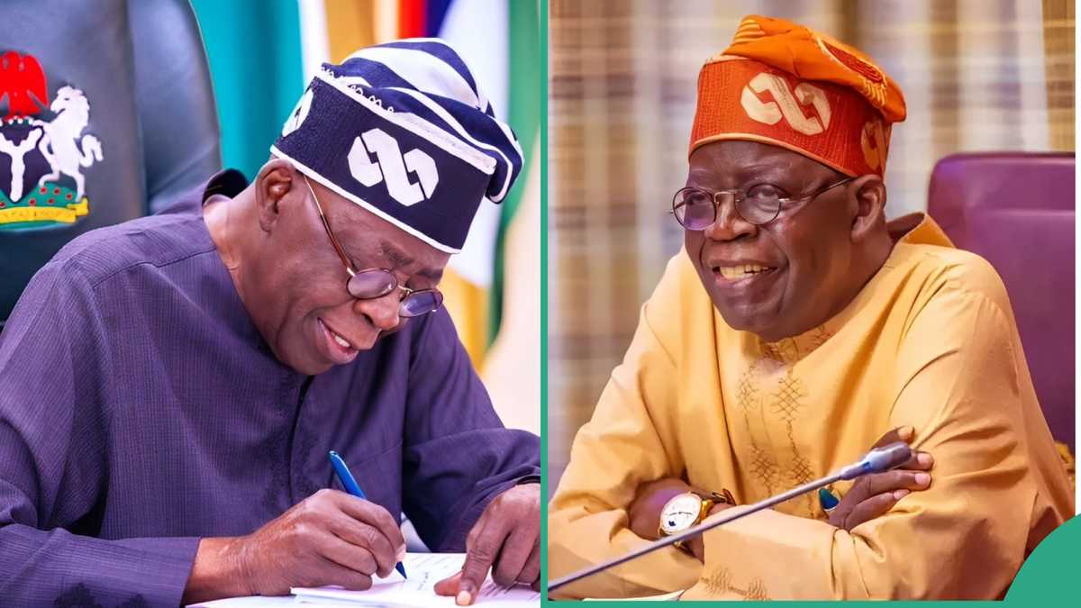 Full List: Minimum Wage, 5 Other Major Bills Tinubu Signed in 2024