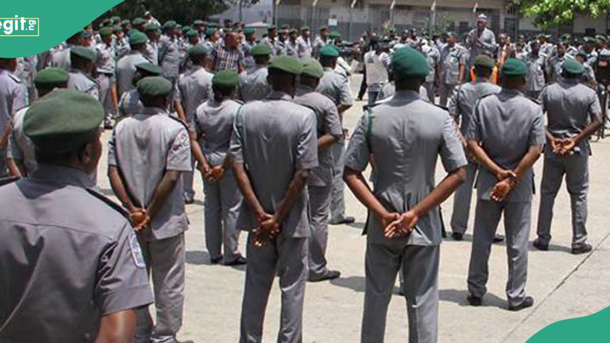 Apply! Nigeria Customs Releases Update on 2025 Recruitment, States Requirements