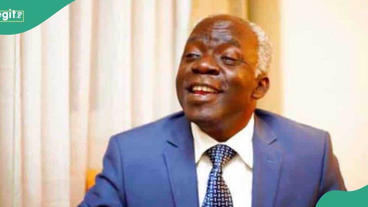 Ibadan, Abuja, Anambra Stampedes: Falana Blames Police, Gives Major Reasons