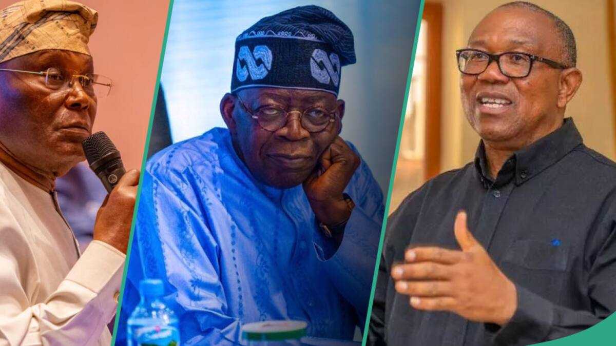 Political Analyst Explains How Kwankwaso, Obi, GEJ Can Form Alliance Against Tinubu in 2025