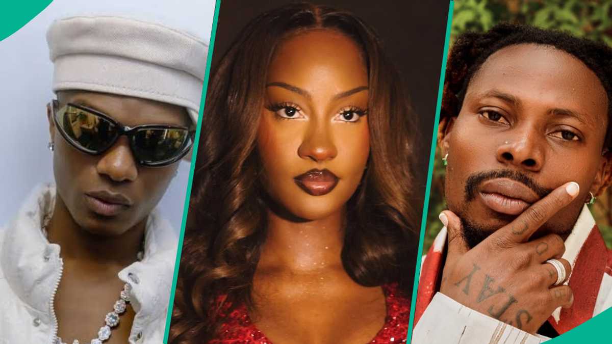 Nigerian Singer Tems Leads Wizkid, Asake, Others With Best Afropop Song of 2024