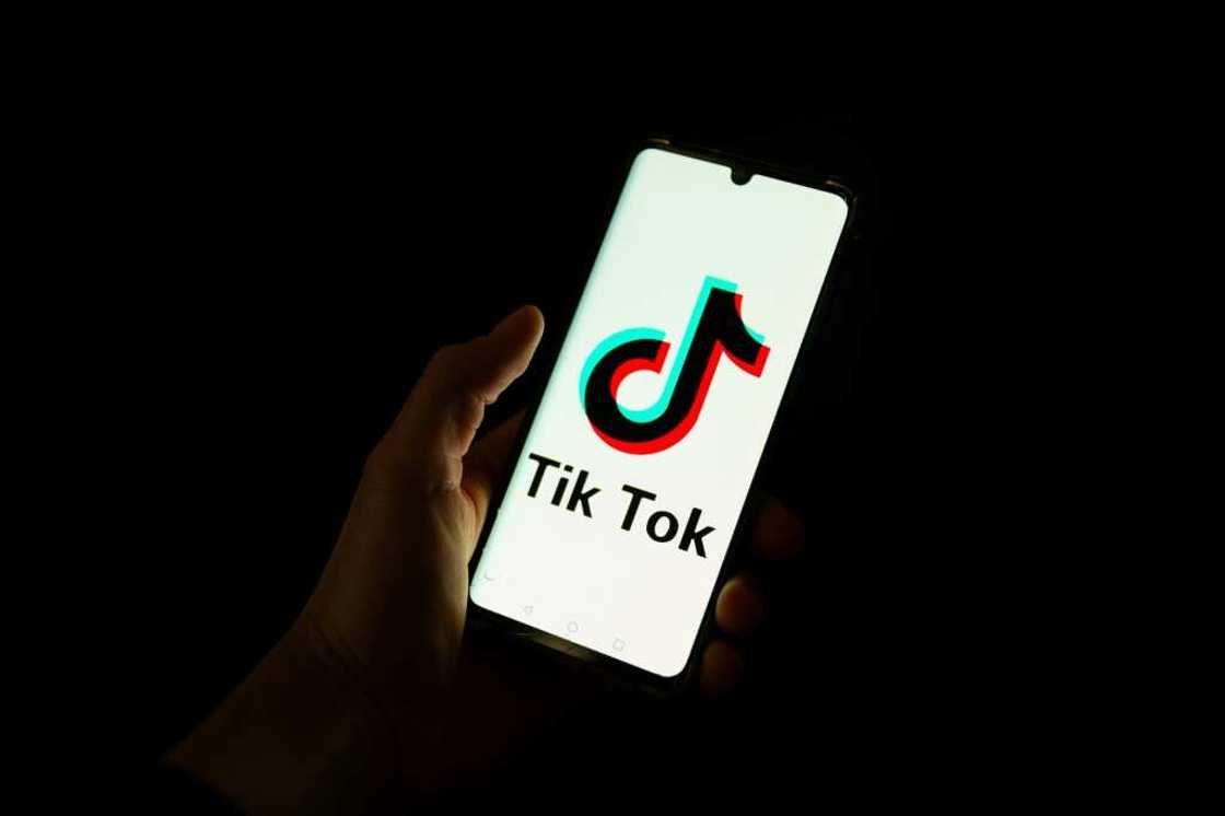 TikTok remains wildly popular, but some US officials and lawmakers are concerned that China may be able to access data from the platform's American users