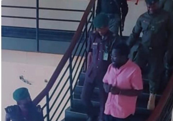 Animal farm - Reactions trail viral photo of Dele Farotimi appearing in court with handcuffs