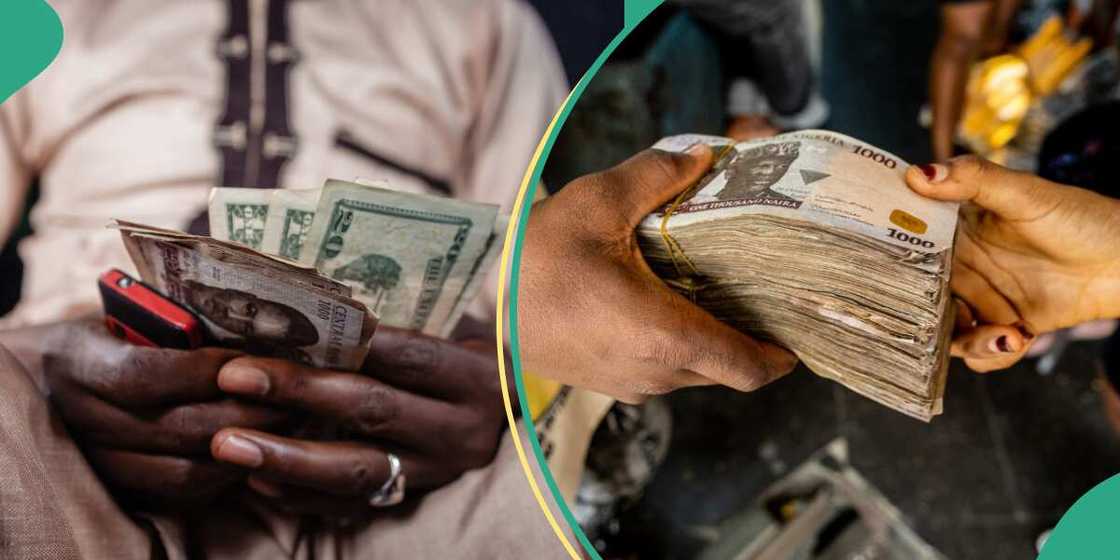 The naira rallies again the Official window