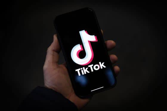 FG bans TikTok from January 2025