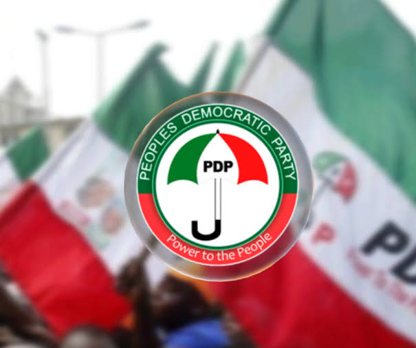 Hold PDP accountable for Nigeria’s slide into one-party state – Okechukwu