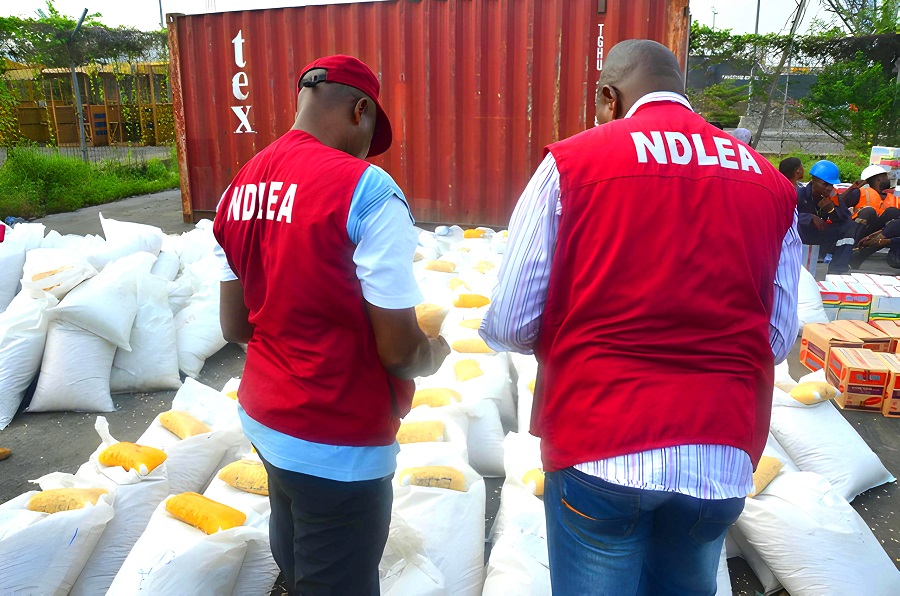 Kano Agency Seeks NDLEA Support To Fight Drug Abuse