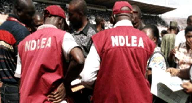 NDLEA recovers N4.4bn worth opioids in Rivers