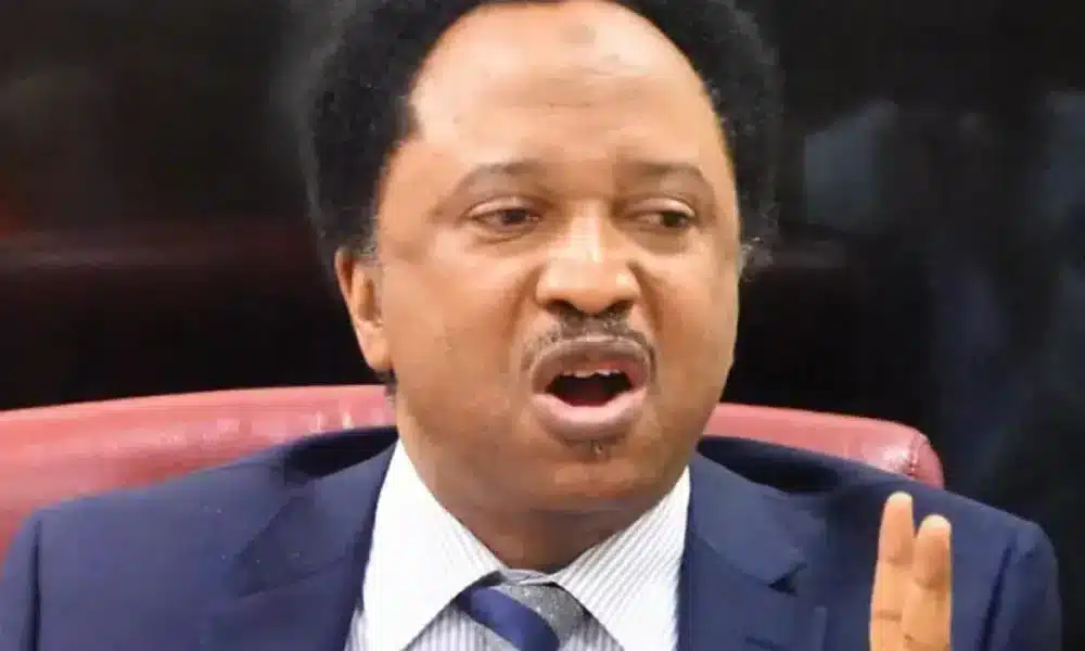 Avert University Workers Strike Notice - Shehu Sani To FG