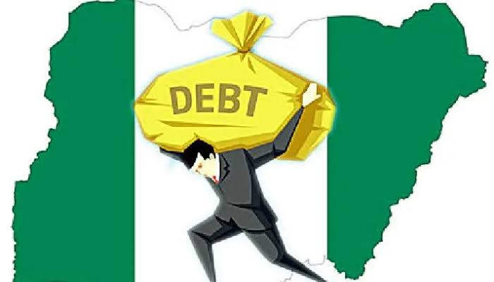 Nigeria Solved Fuel Subsidy Problem And Created Debt Profile Problem - Adebajo