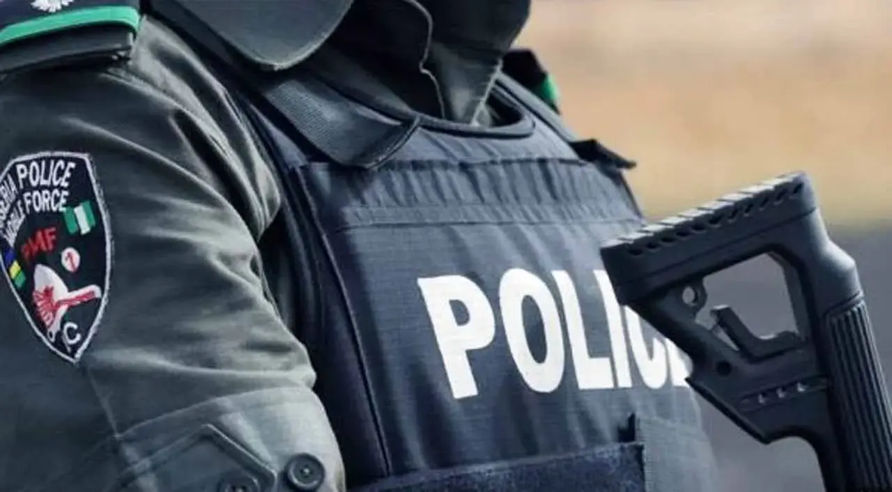 Police Arrest 2 For Alleged Rape, Rescue 2 Victims In Anambra