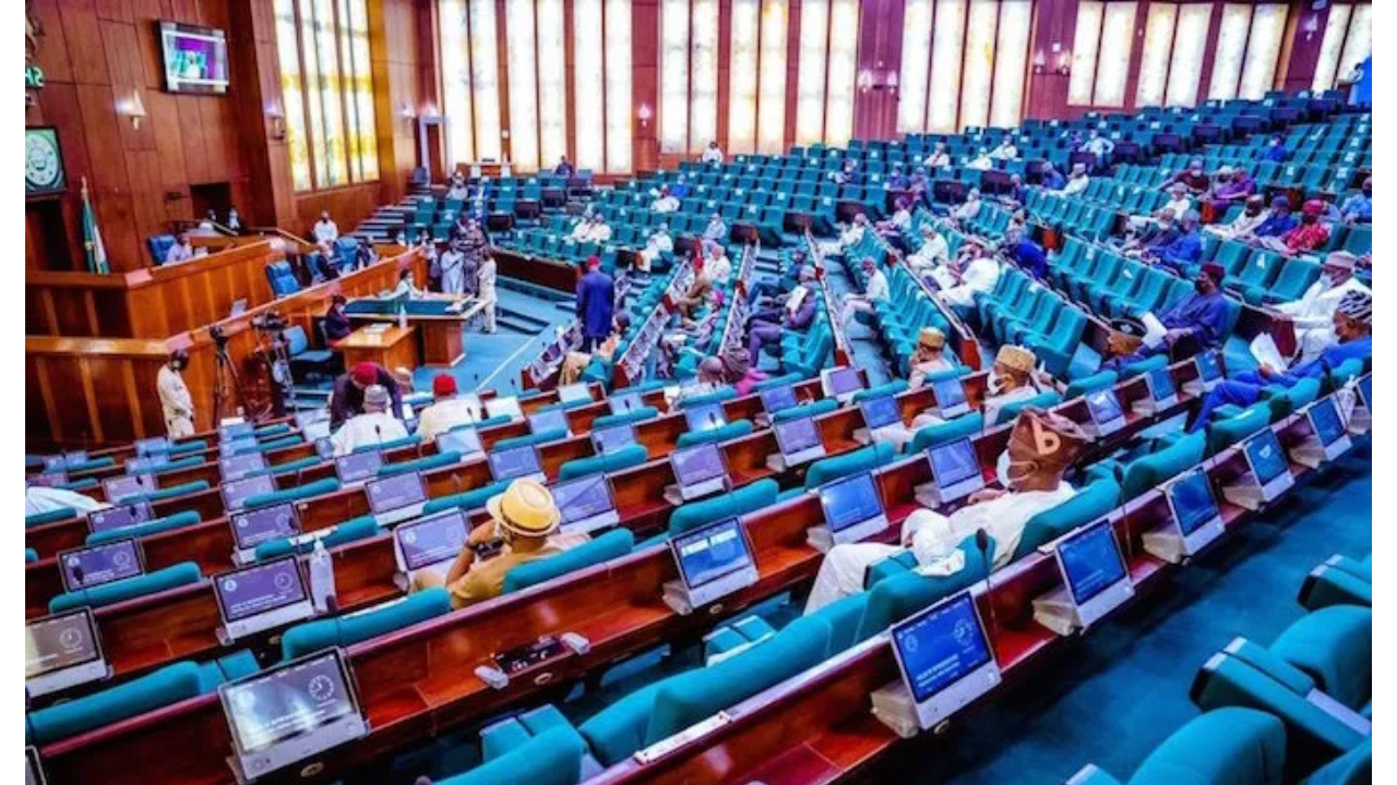 Reps Task MDAs On Compliance With NASS Resolutions