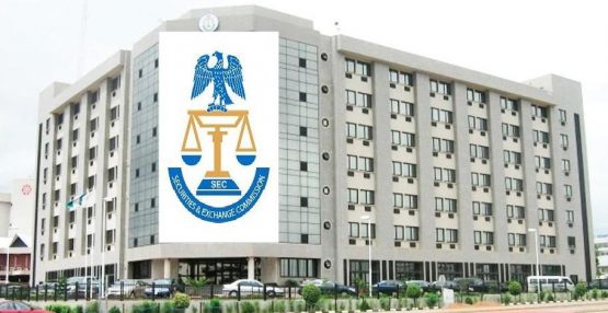 SEC to roll out guidelines for fintech in 2025 – Agama