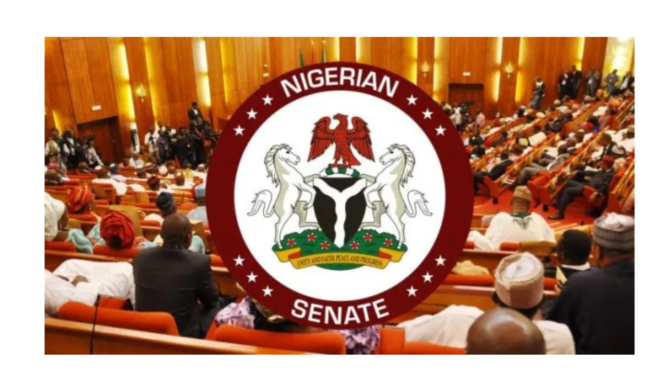 Senate Tasks Security Agencies On Arms Proliferation