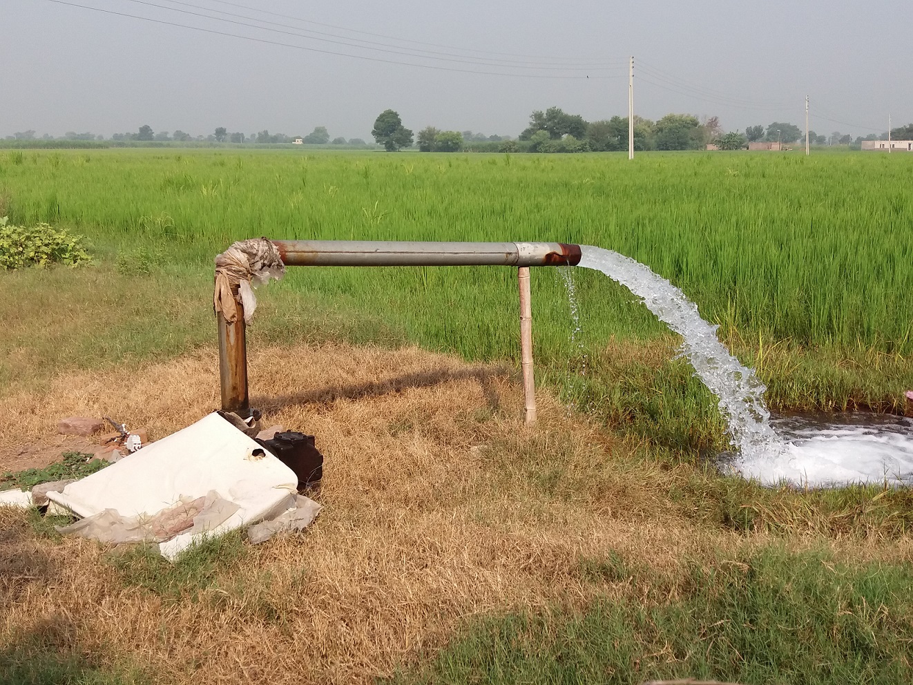 Watari Irrigation Project To Provide Water For Dry Season Farming In Kano