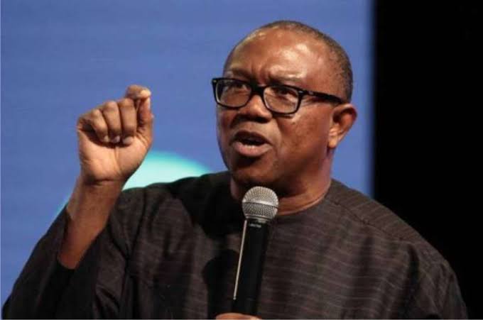 Why Tinubu should not rush his tax bills on Nigerians - Peter Obi