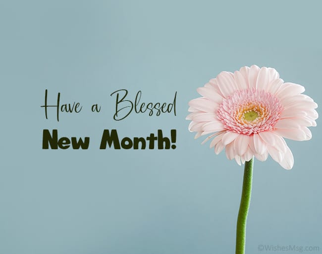 100 Happy New Month Messages, Wishes, Prayers For February