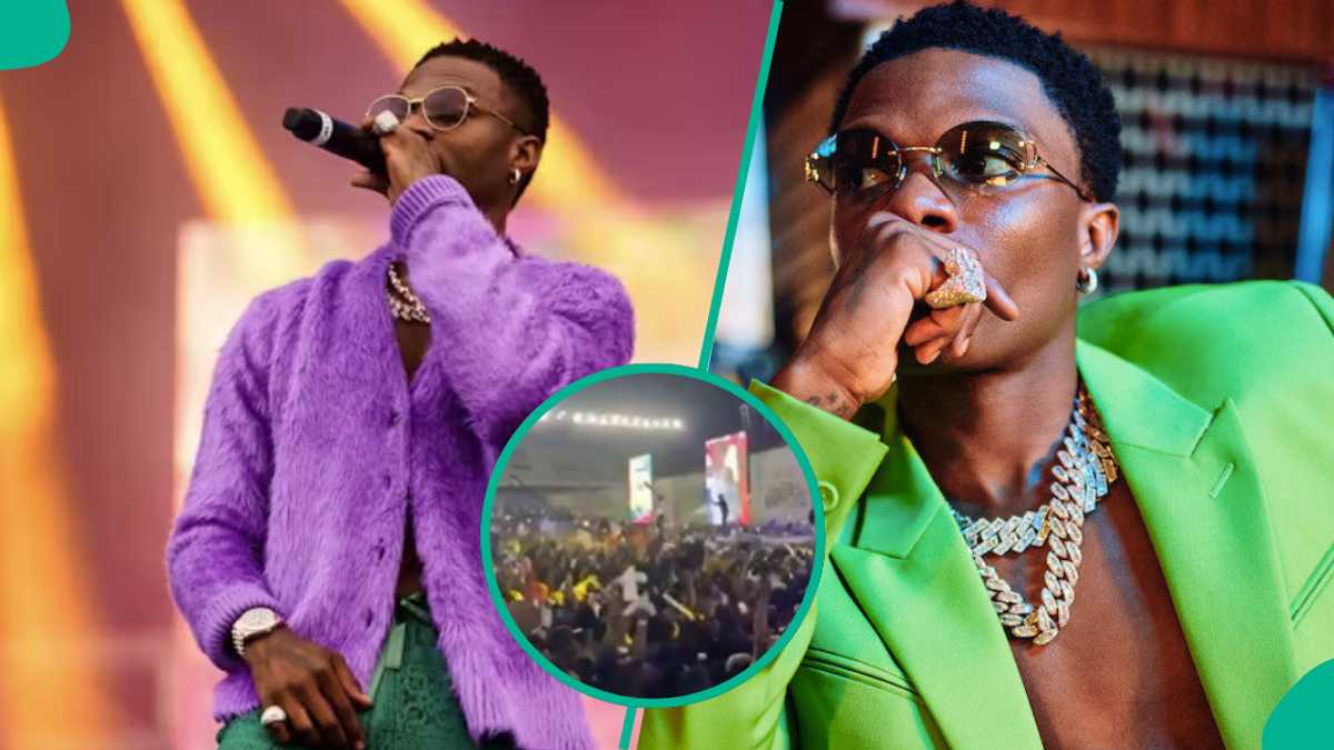 Uproar Trails Wizkid and Fans’ Display at Lagos Concert: “Did Girls Also Take Off Their Tops?”