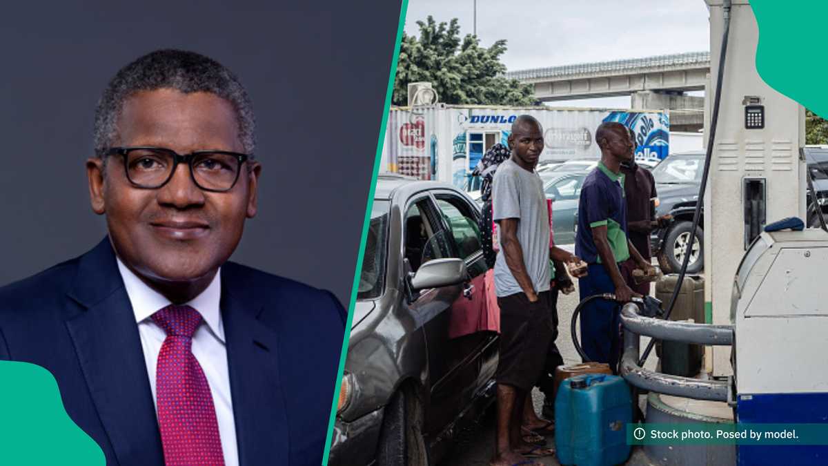 Petrol Price Set to Crash as Marketers Partner Dangote to Get Discounted Fuel