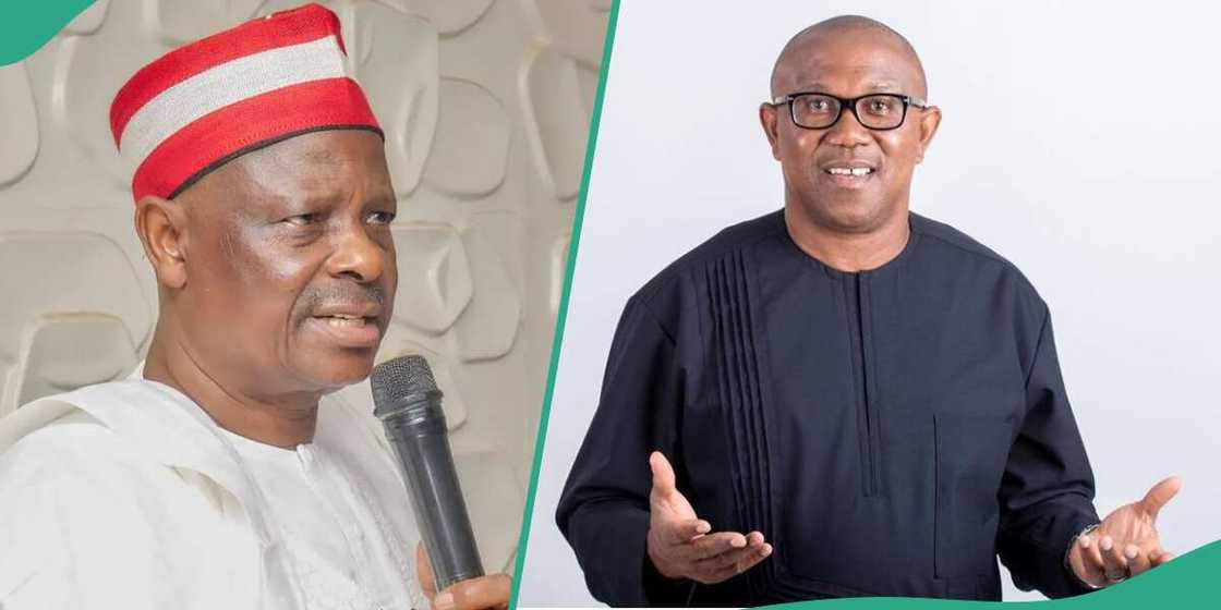 2027: Reaction trails reports of Obi and Kwankwaso alliance proposal