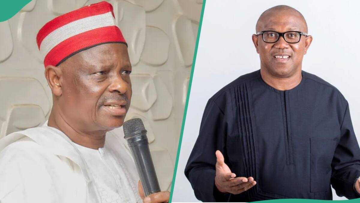 2027: Expert Speaks on What Would Happen if Peter Obi, Kwankwaso Form Alliance to Displace APC