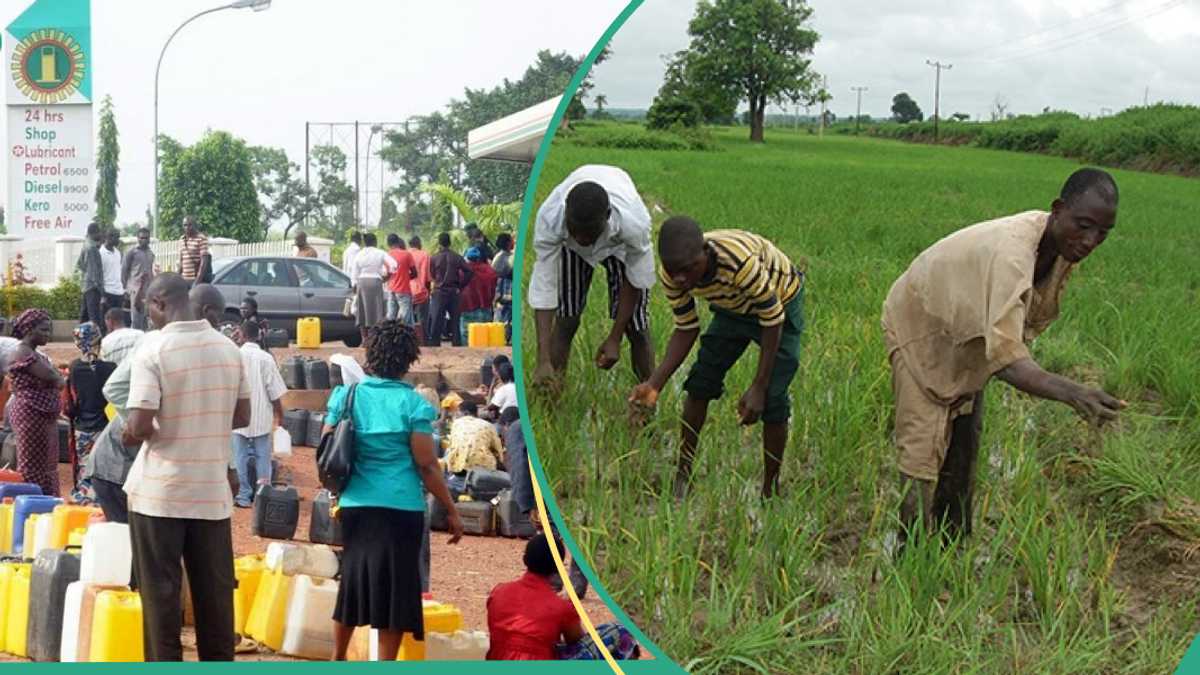 N600 Per Litre: State Governor Eases Fuel Costs With New Subsidy