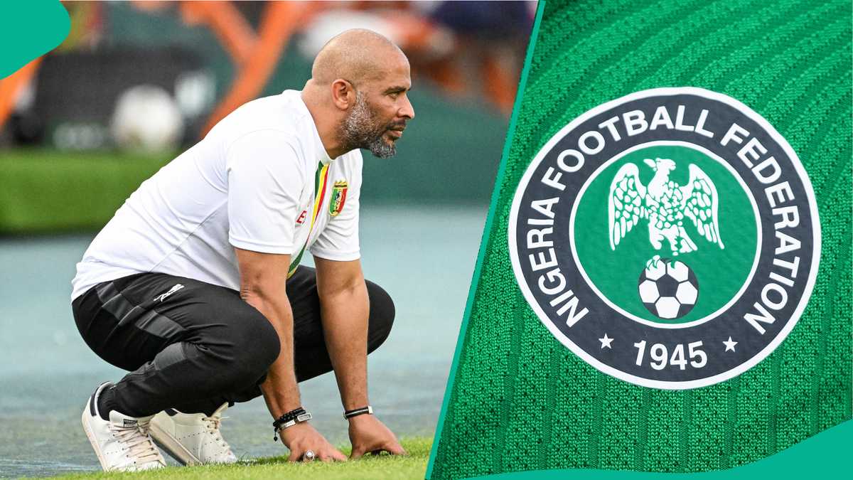 Why the NFF Handed New Super Eagles Coach Eric Chelle a Short Term Contract: Report