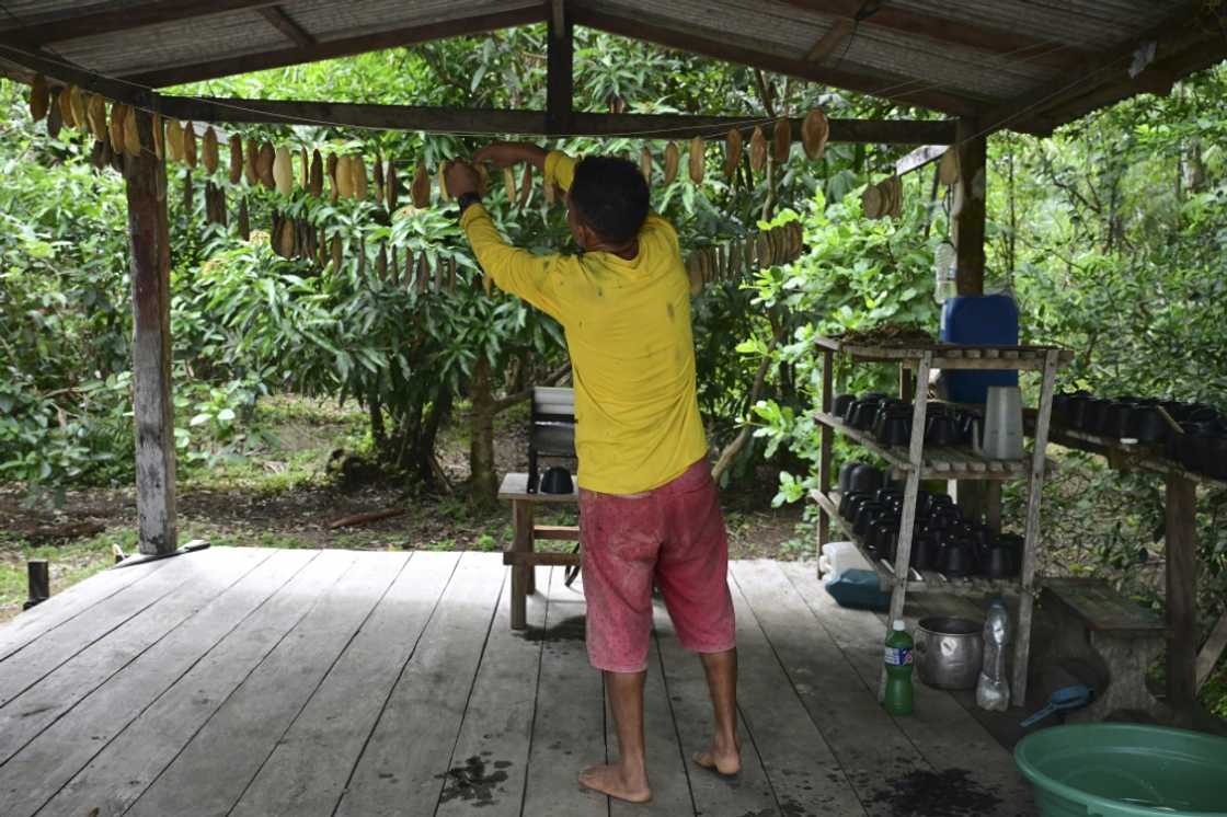 Renato Cordeiro, 57, hangs the collected rubber to dry at his home