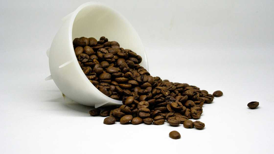 Close-up of coffee beans spilling from cup against white background