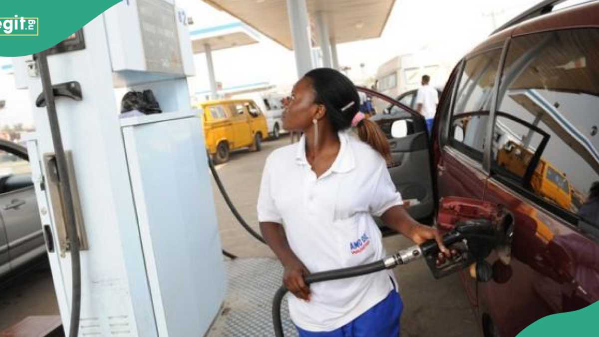 Petrol Marketers Finally Find Solution to Fuel Price Hike, Make Important Request From Tinubu