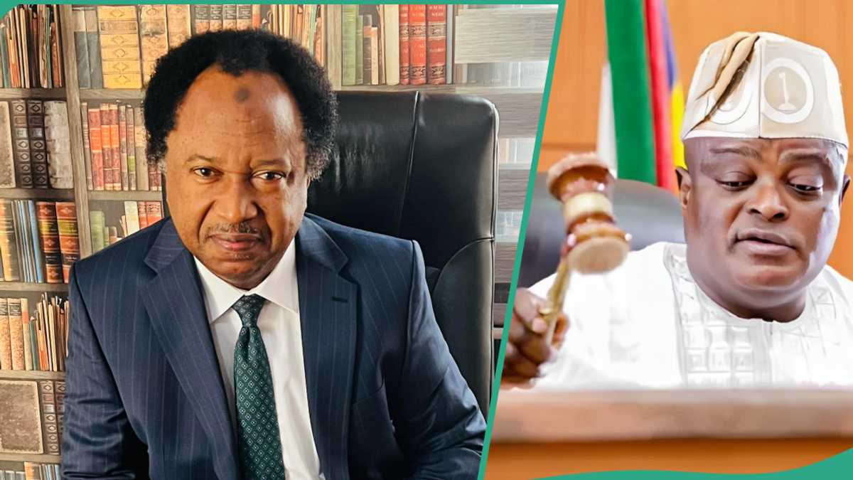 Obasa: Shehu Sani Lists 5 Factors That Lead to Impeachment of Speakers