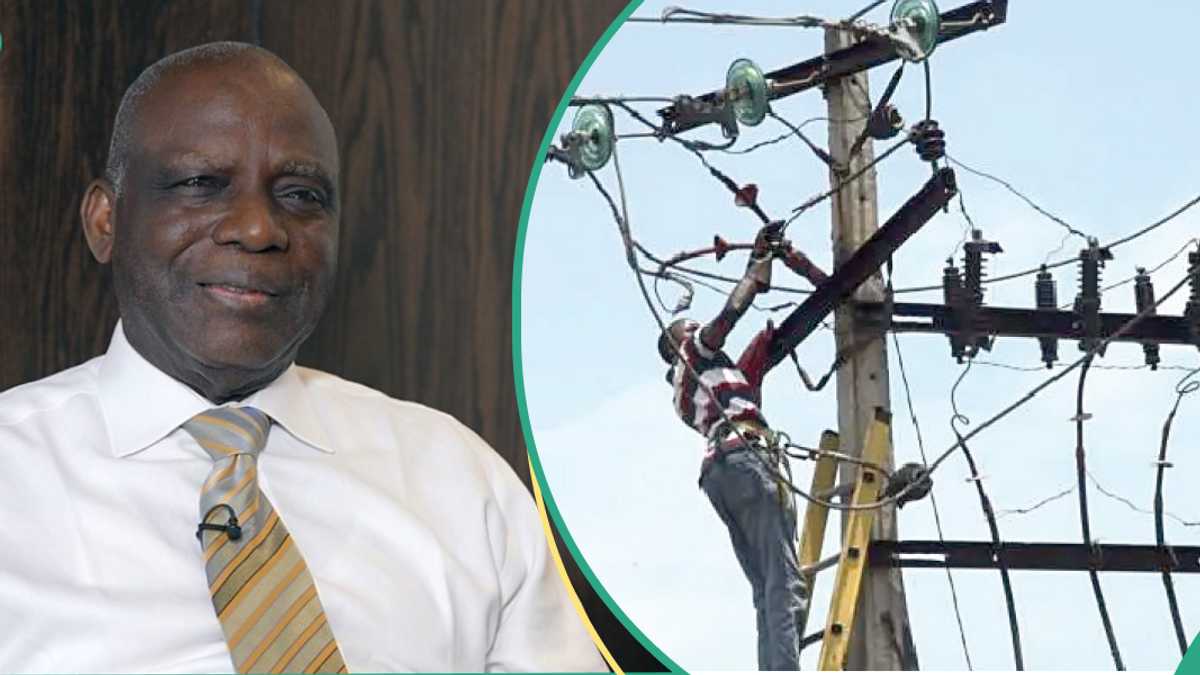 Former Power Minister Proposes Solution to Frequent National Grid Collapses in Nigeria