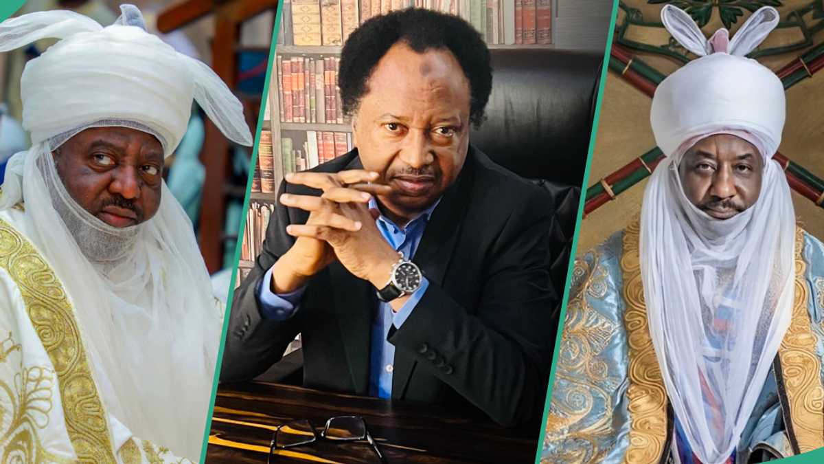 Kano Emirate Tussle: “Settle with Football Match,” Shehu Sani Tells Sanusi, Bayero