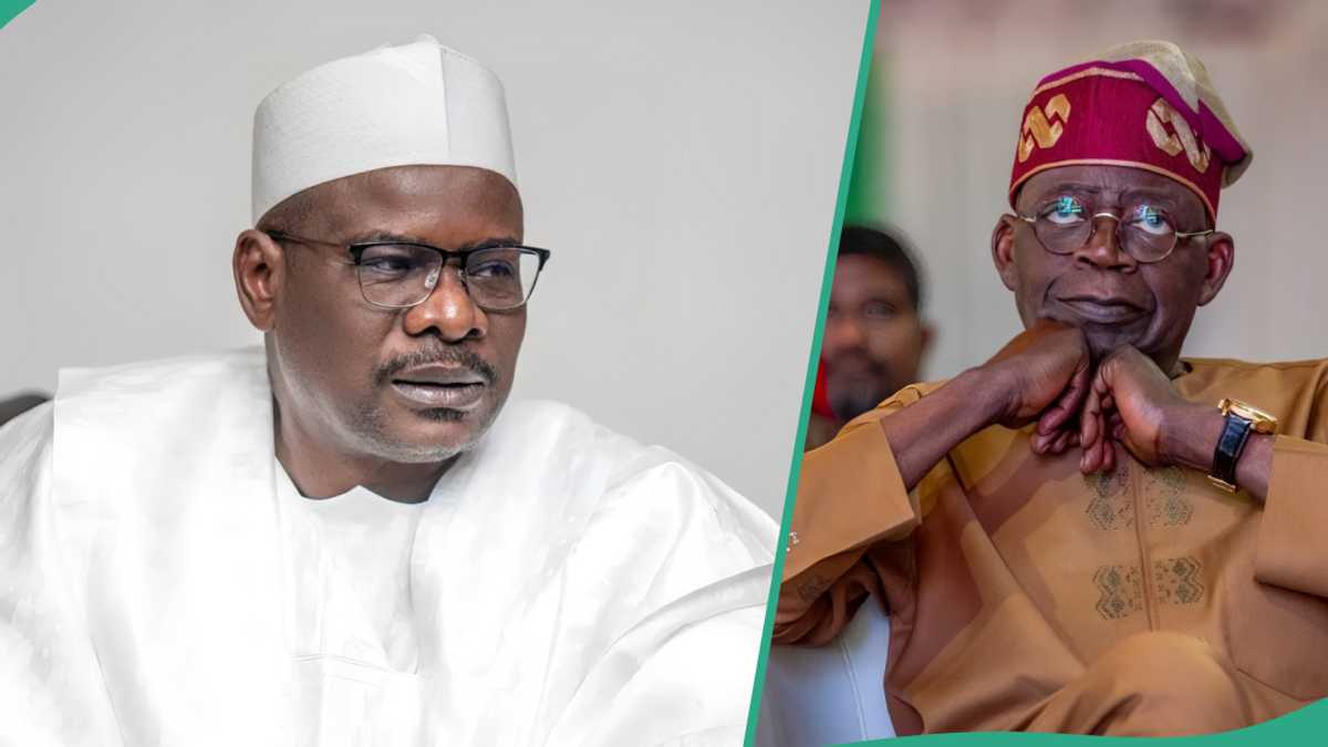 “Why Governors’ Endorsement of Tinubu’s Tax Bill Not Enough,” Ndume Speaks