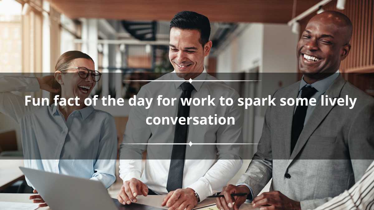 80+ fun fact of the day for work to spark some lively conversation