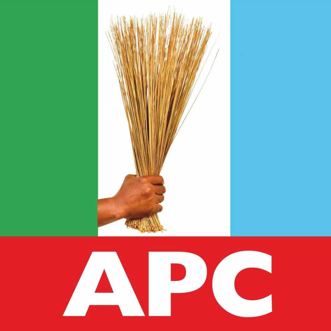 All Progressives Congress' logo