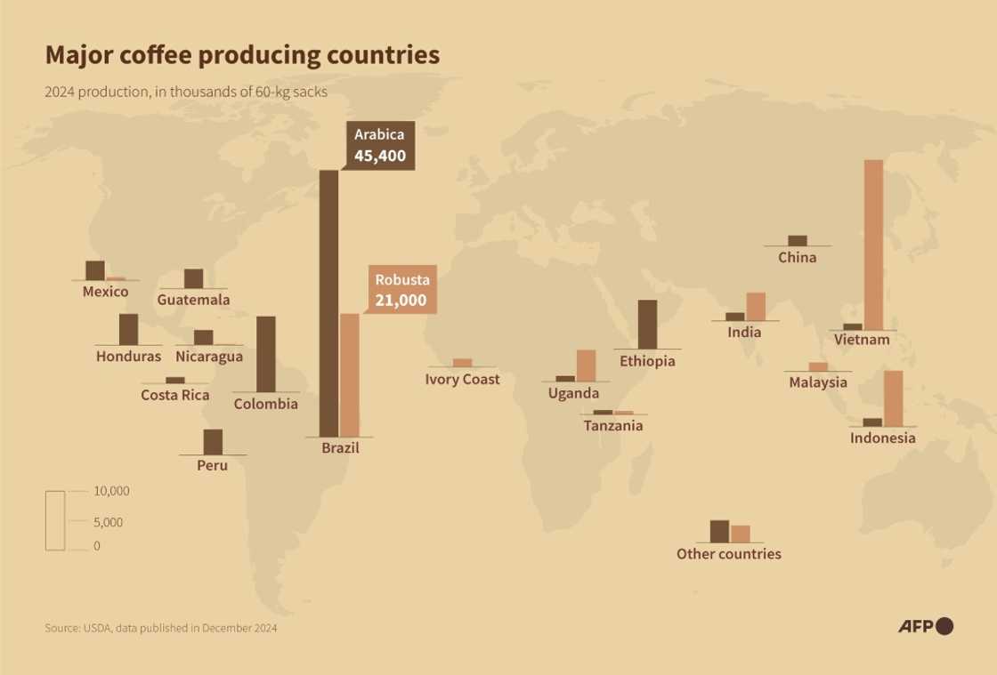 Major coffee producing countries