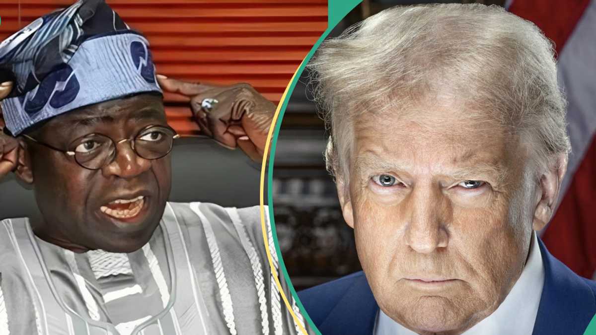 "He Threatened the World": Int'l Expert Warns Tinubu Against 1 Major Mistake to Avoid With Trump