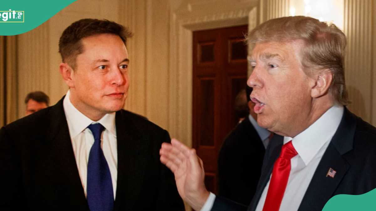 US President Trump Considers Selling TikTok To Elon Musk