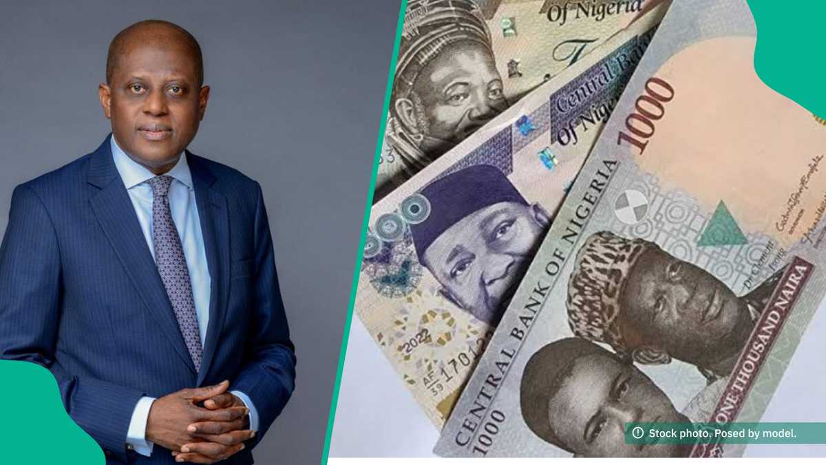 CBN Gives Details on How Nigerians Can Benefit From Weak Naira