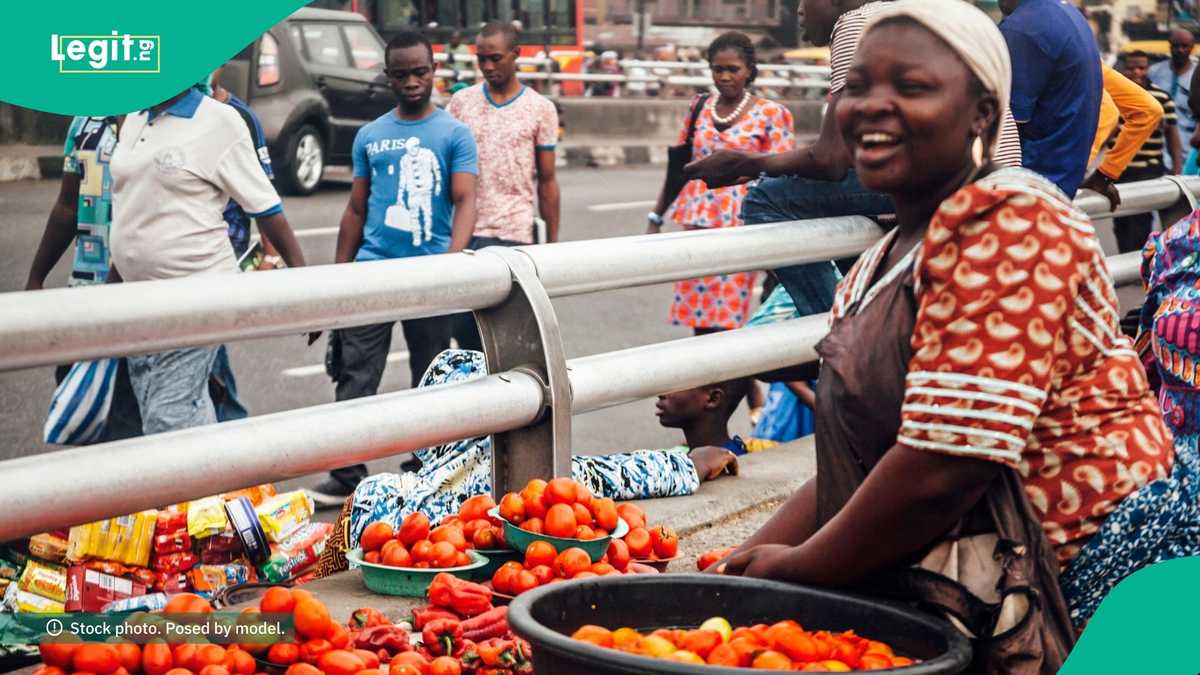 Nigerians Stock Up Massively as Tomato Prices Crash Across Markets