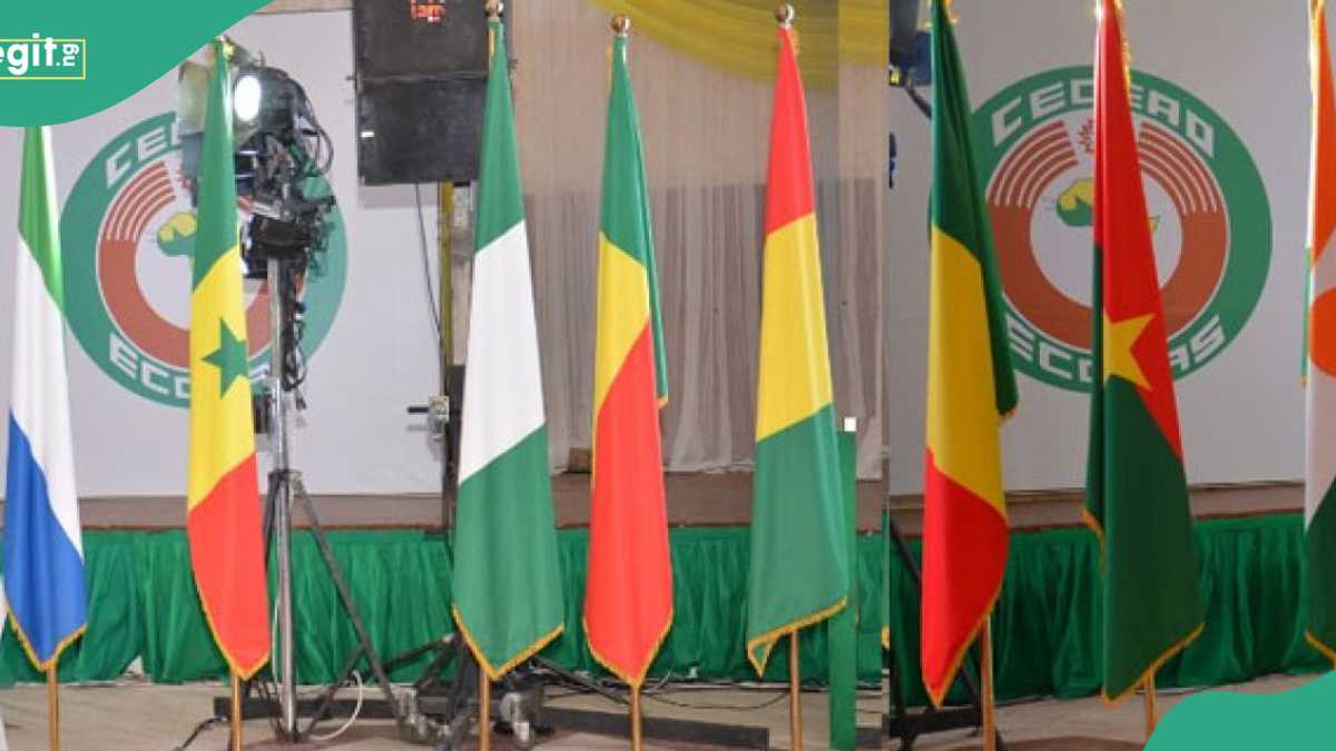 ECOWAS Takes 4 Major Actions as 3 Top African Countries Finally Exit From Regional Bloc