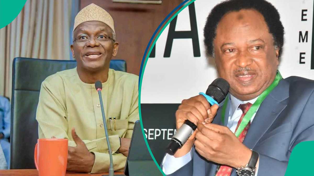 ‘What Would Have Happened If El-Rufai Had Been Admitted into Tinubu’s Govt,’ Shehu Sani Speaks