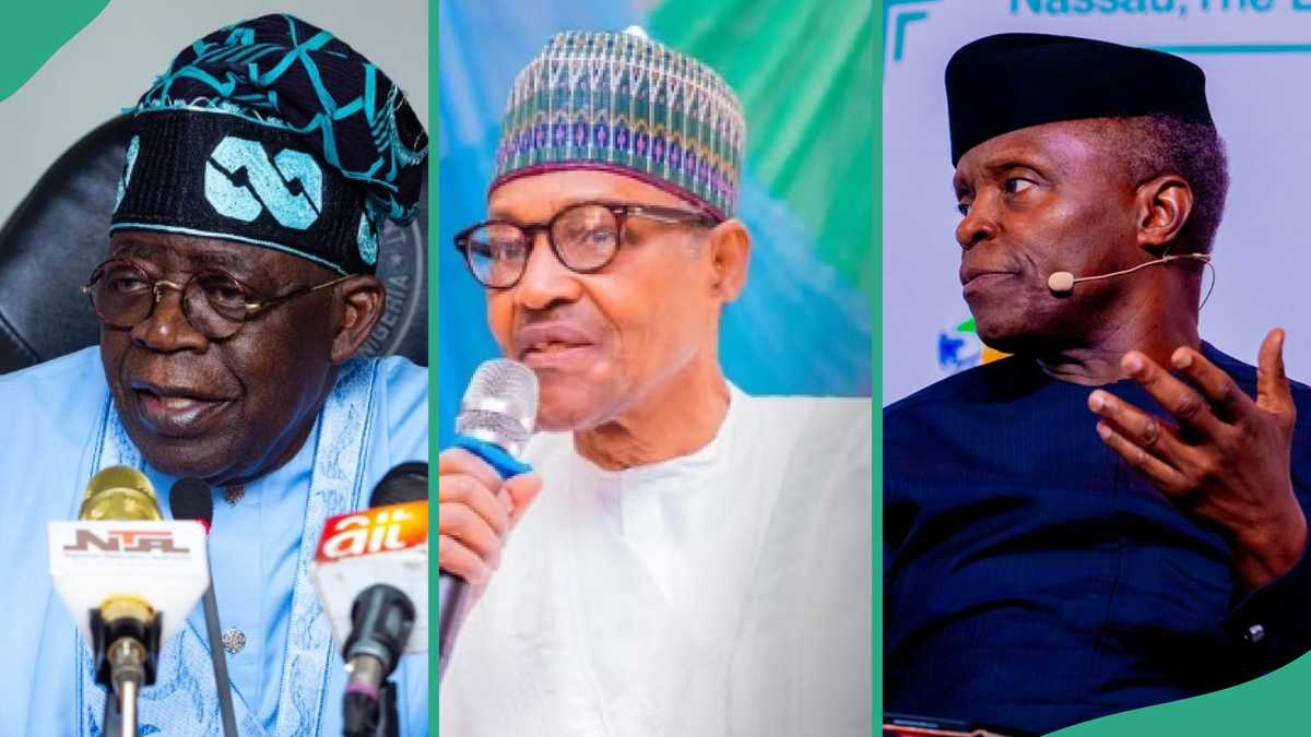 Tinubu or Osinbajo: Akande Mentions What Buhari Tried to Avoid