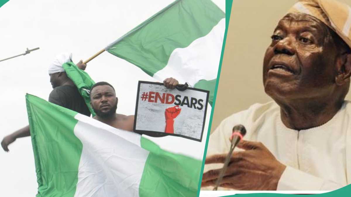 5 Years Later, Ex-Osun State Gov Mentions 2 Main 'Sponsors' of EndSARS Protest