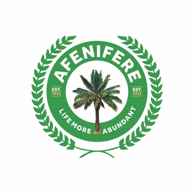 Afenifere Lauds Govs, Federal Gov't Over Agreement On Tax Reform Bills