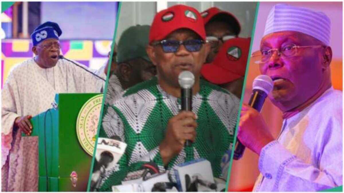 "Don't Be Deceived": Top Political Expert Speaks on 'Strongest' Alliance to Defeat Tinubu in 2027