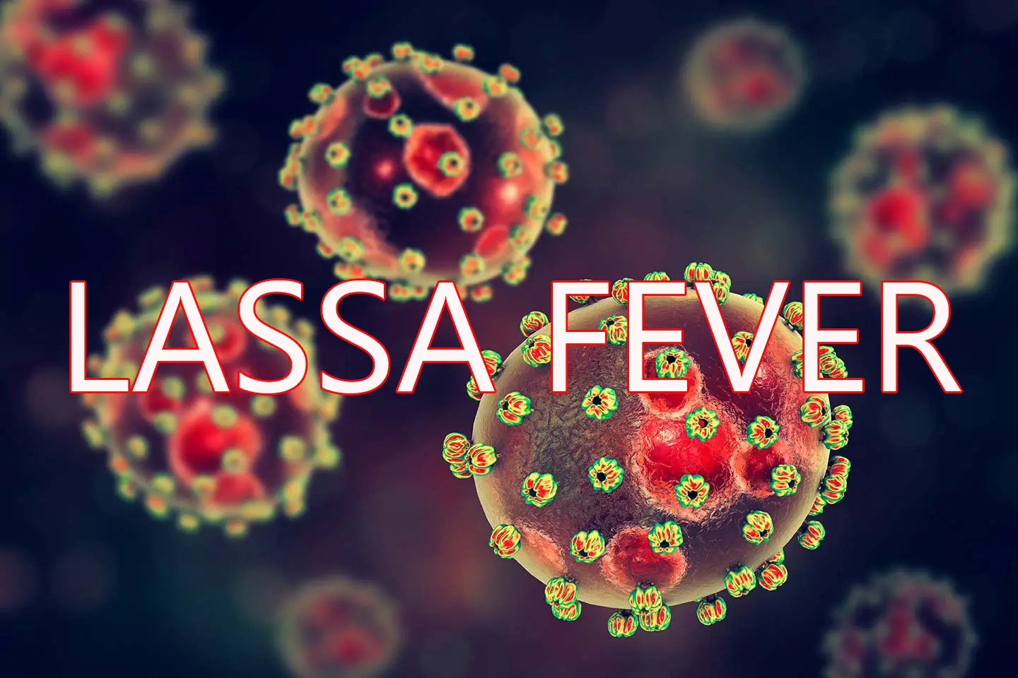 Edo Govt Urges Vigilance Over Outbreak Of Lassa Fever